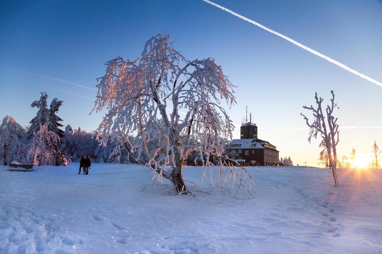 The Suite Winterberg Deluxe - Exklusive Ausstattung, Bestlage Zwischen Skikarussell Und Marktplatz, Eigener Garten, Ski- Und Fahrradraum, Ruhige Suedausrichtung, Wlan, Hundefreundlich Exterior foto
