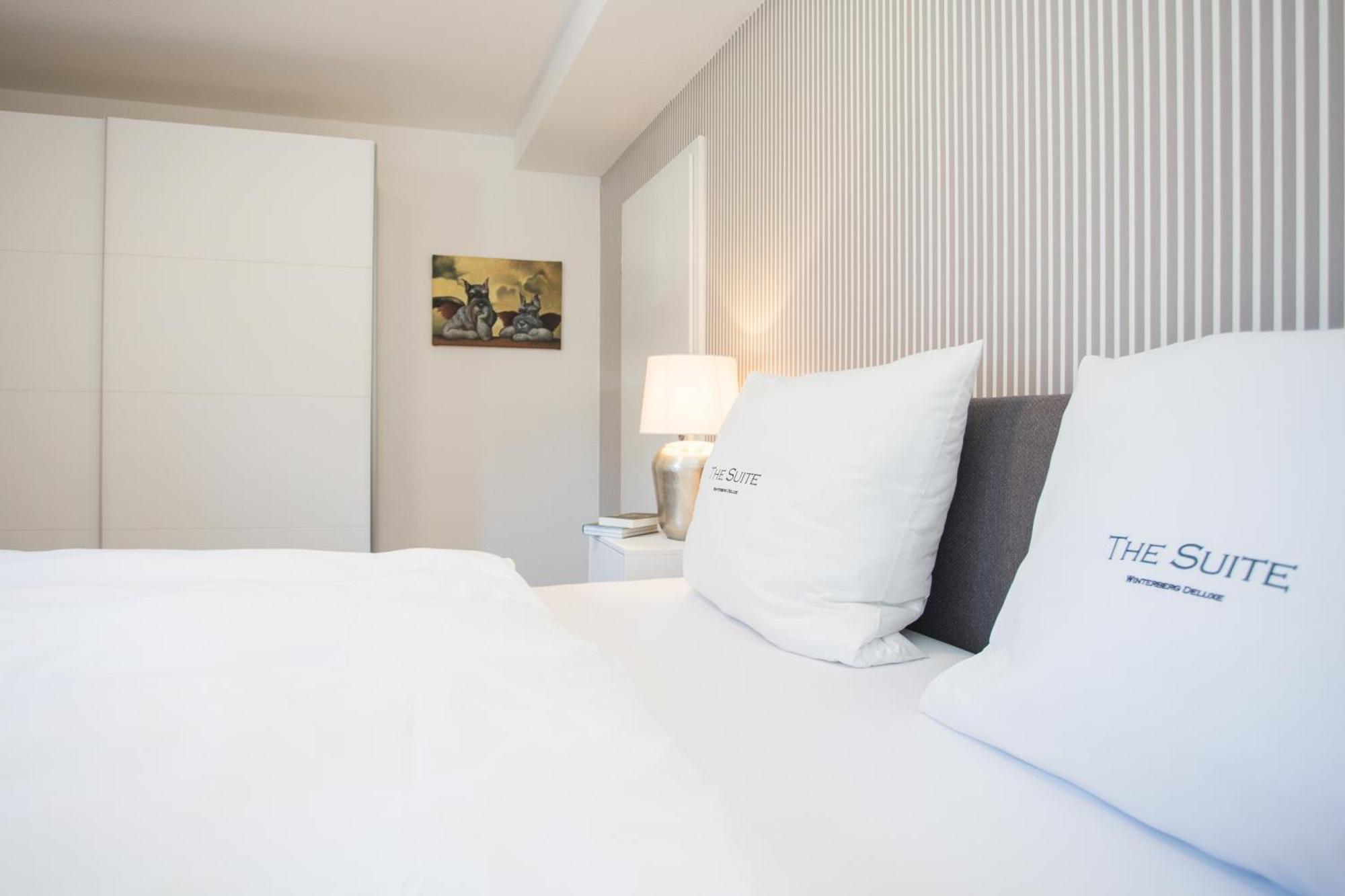 The Suite Winterberg Deluxe - Exklusive Ausstattung, Bestlage Zwischen Skikarussell Und Marktplatz, Eigener Garten, Ski- Und Fahrradraum, Ruhige Suedausrichtung, Wlan, Hundefreundlich Exterior foto
